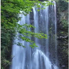 善五郎の滝