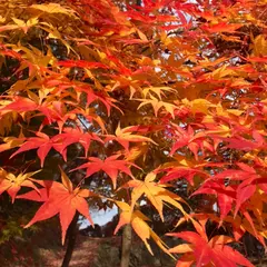 陣屋の杜公園