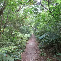 与那覇岳登山口