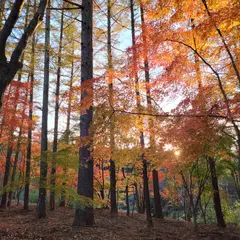 鷹ノ巣公園