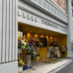 サウナ・スパ テルマー湯 西麻布