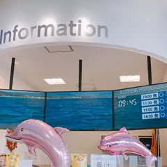 通詞島 イルカクラブ