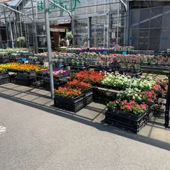 グリーンテラスはなようび