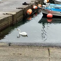 五十猛町