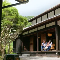 The Ninja Mansion