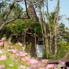 八面山四季の丘公園