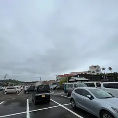 タイムズＡＮＡホリディ・インリゾート宮崎