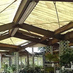 花木センター温室