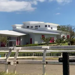 魔法の文学館（江戸川区角野栄子児童文学館）