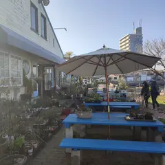 ガーデニングショップ風の散歩道