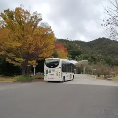 瞑想の森