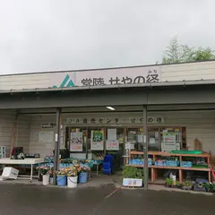 JA常陸 直売センター せやの径