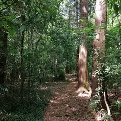 トトロの森 １２号地