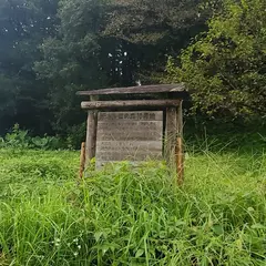 トトロの森10号地