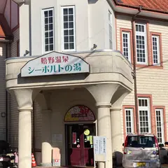 公衆浴場シーボルトの湯