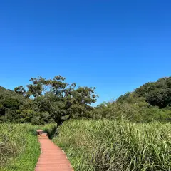 小網代の森 眺望テラス