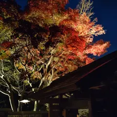 天山湯治郷