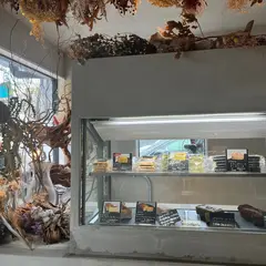 ちーずとけーき。