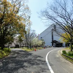 伏見港公園 体育館