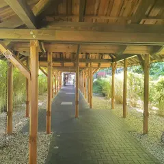 Vabali