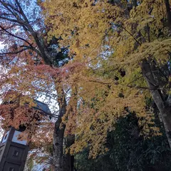 鳳来寺山麓きのこ園