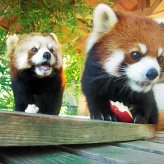 大牟田市動物園