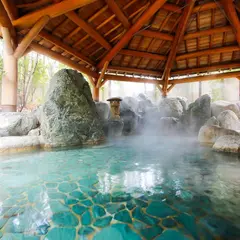 飛騨高山温泉 天領の湯