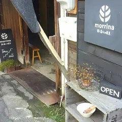 モリーナ（ｍｏｒｒｉｎａ）
