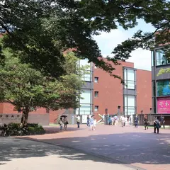 東京都美術館