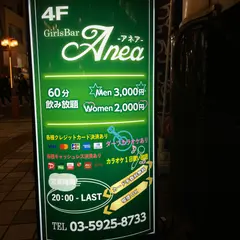 Anea(アネア)