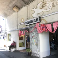 Sempervivumセンペルビウム