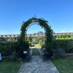Q-court