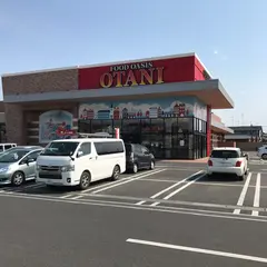 フードオアシスＯＴＡＮＩ幸手店