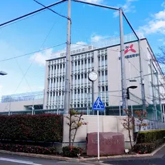 桜花学園桜花学園高等学校