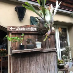 苔丸