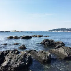 天神島臨海自然教育園