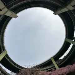 河津七滝ループ橋(七滝高架橋)