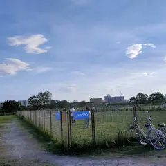 荒川運動公園ドッグラン