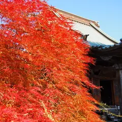 龍峰寺
