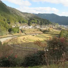 あらぎ島