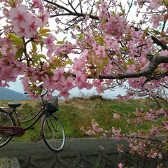 関川河川敷 ふるさと広場