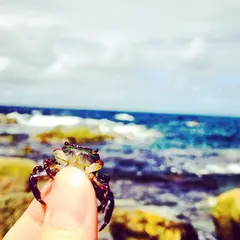 男鹿半島