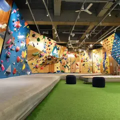 D.bouldering Hachioji （ディー・ボルダリング八王子）