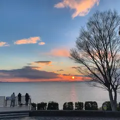朝日が輝く丘