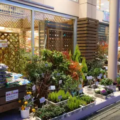 花工場 溝の口店｜高津区｜花屋・フラワーショップ・父の日