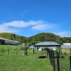 ドッグラン (大多喜ハーブガーデン)