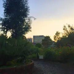 中目黒公園