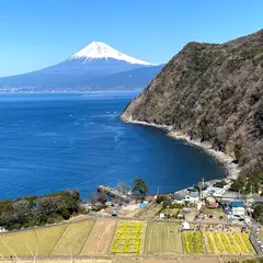 井田の花文字