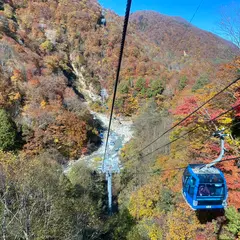 ドラゴンドラ山麓駅