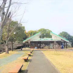 一本松公園